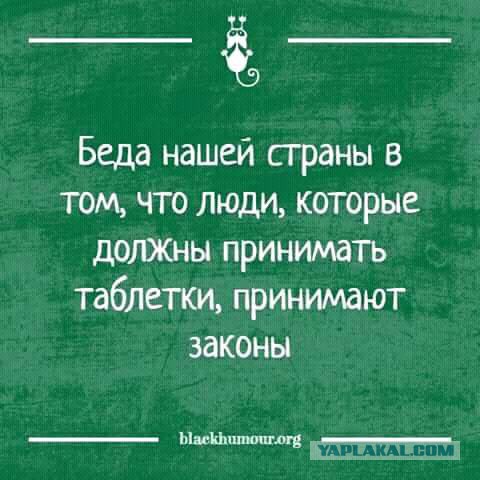 Жириновский объяснил, почему депутаты не могут получать 30 тысяч рублей