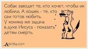 Исповедь глупой бабы