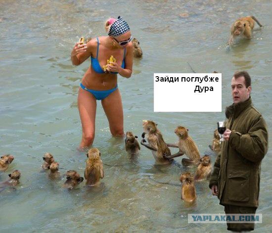 Блондинка, банан и обезьяны