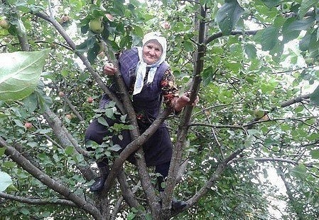 Немного картинок в эту субботу