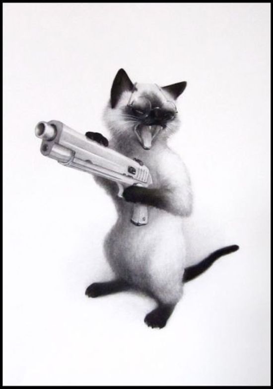 Боевые коты
