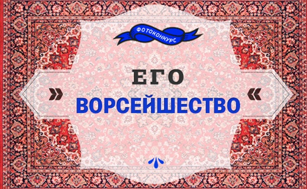Фотопозы или смотрите, какая я красотка