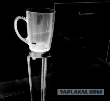 любительская фотография