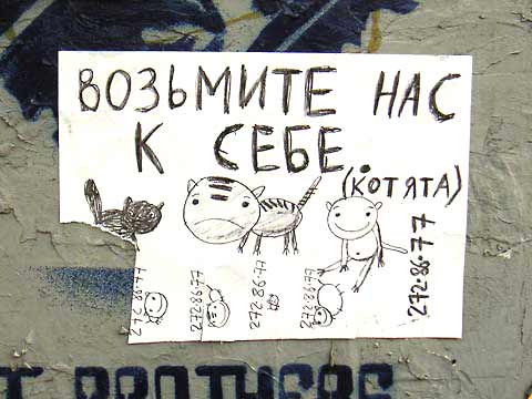 Объявления