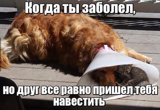 Чуток картинок 15.02.20