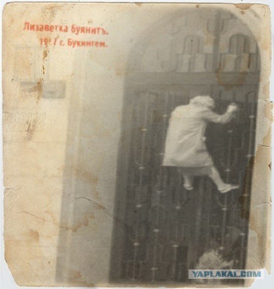 34 удивительные вещи, которыми владеет королева Елизавета II