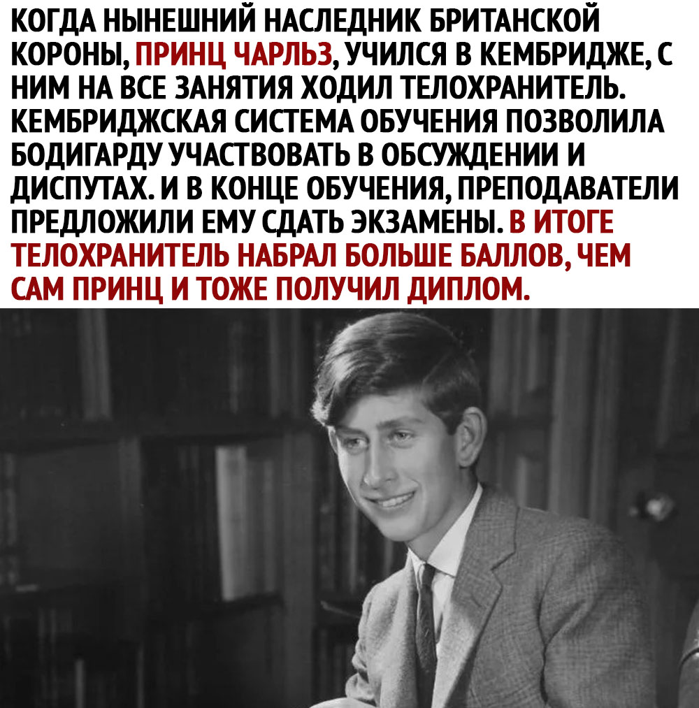 14343748.jpg