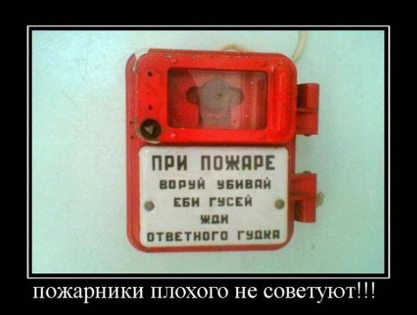 Бредзона 17.07.2020