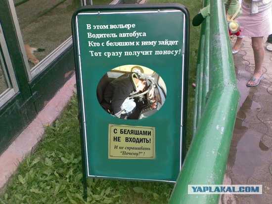 Наркомания в Красноярском зоопарке