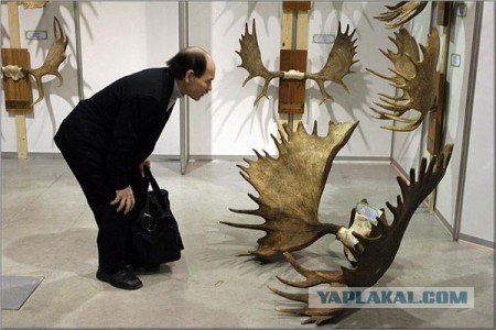 Что добываем?
