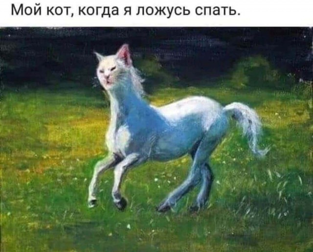 Соседи сверху