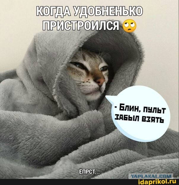 Бредзона 20.10.2020