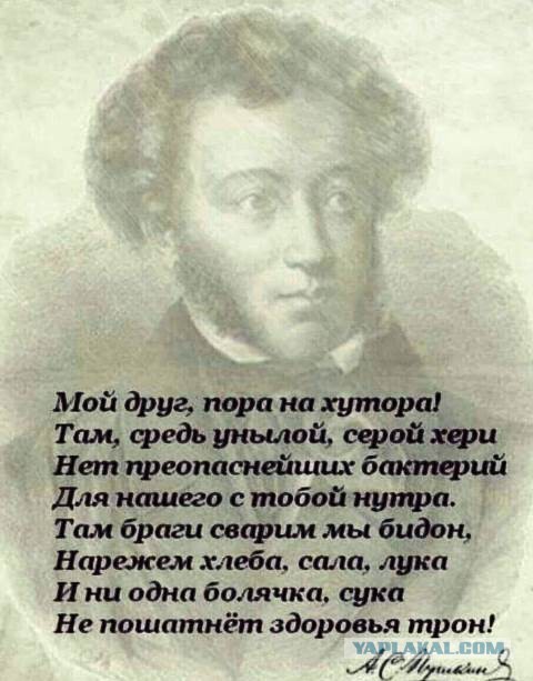Юмор в картинках 03.12.20