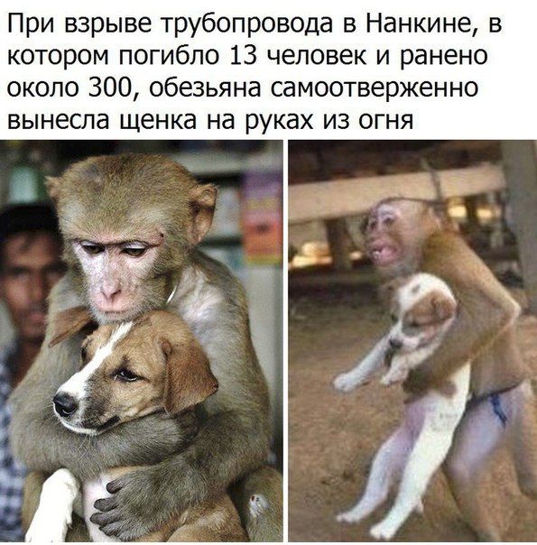 Картинки и мемы для настроения 005