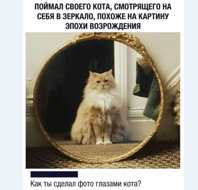 Картинки и мемы для настроения 017