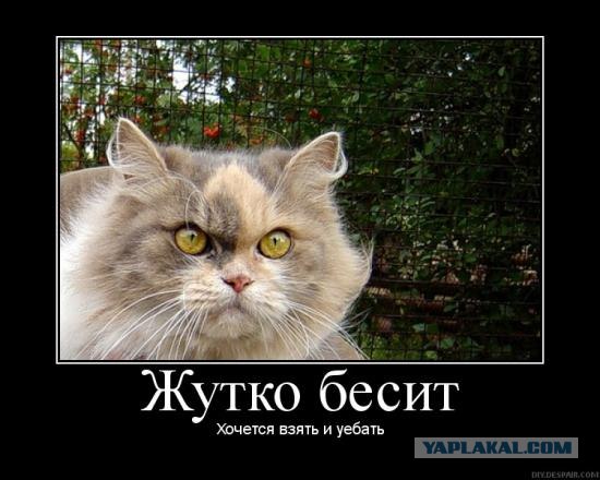 Малолетний быдло-угонщик из Кемерово