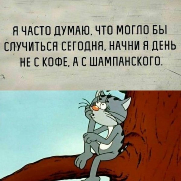 Картинки и мемы для настроения 15.07.2021
