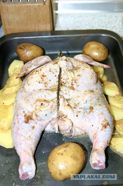 Курочка набитая.