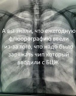 Пандемия. Коронавирус. Россия и мир. Последняя информация. Часть 26