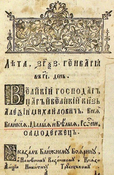 Петербургской блогерше  стало вдруг стыдно
