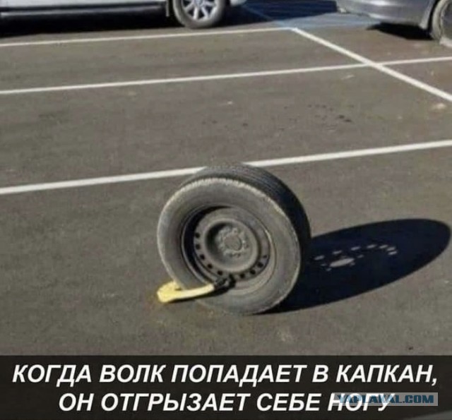 Так себе картинки 13.11.21