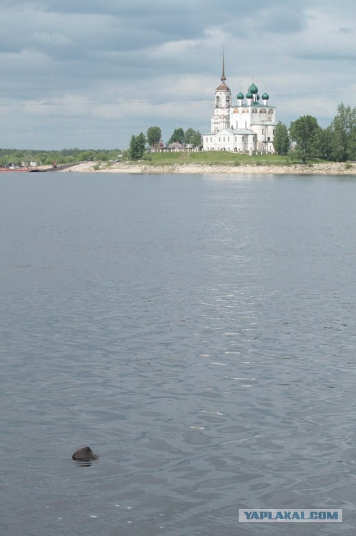 Сольвычегодск