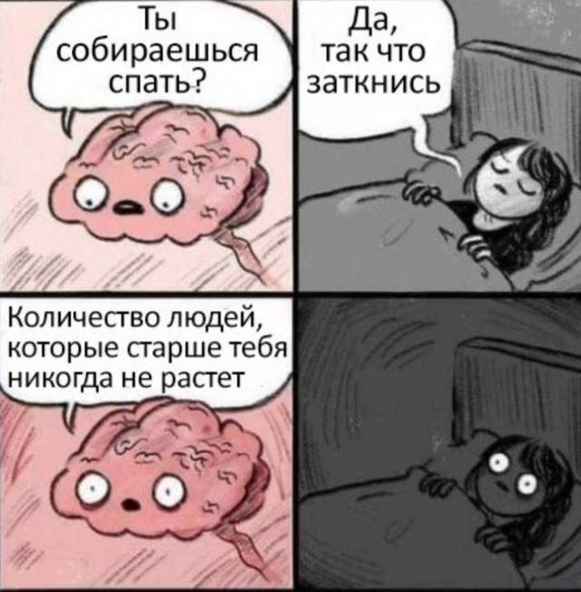 Забавные и веселые картинки