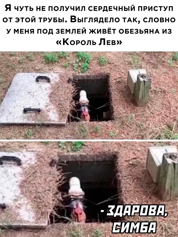 16898748.jpg