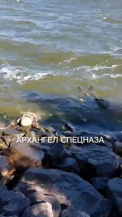 Отступили