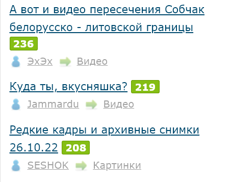 А вот и видео пересечения Собчак белорусско - литовской границы