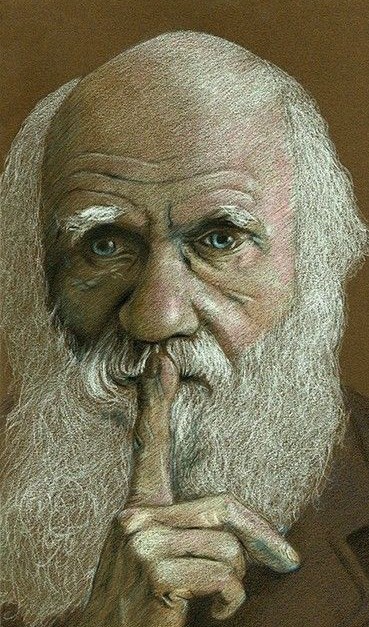Жительница, подравшаяся с соседкой, рассказала о трехлетнем «терроре» с ее стороны