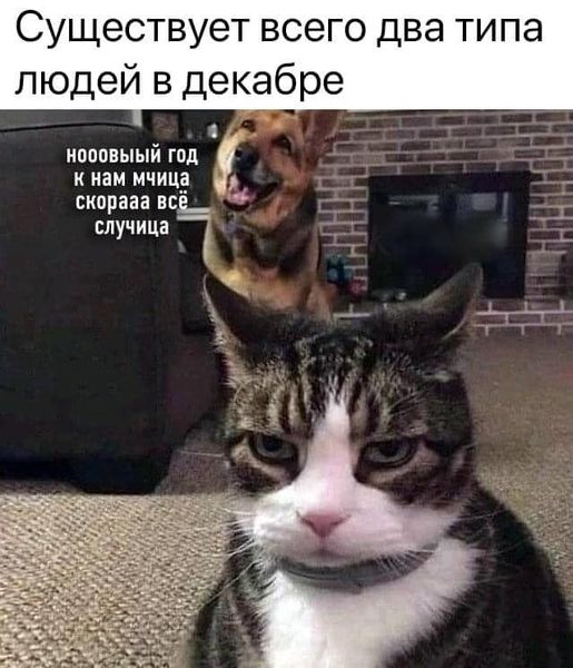 Немного картинок для настроения