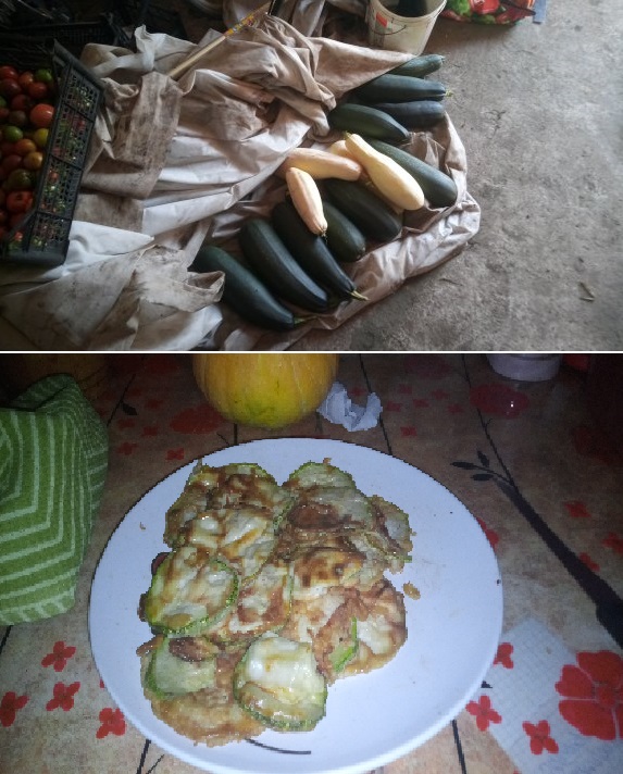 Страдания по кабачкам