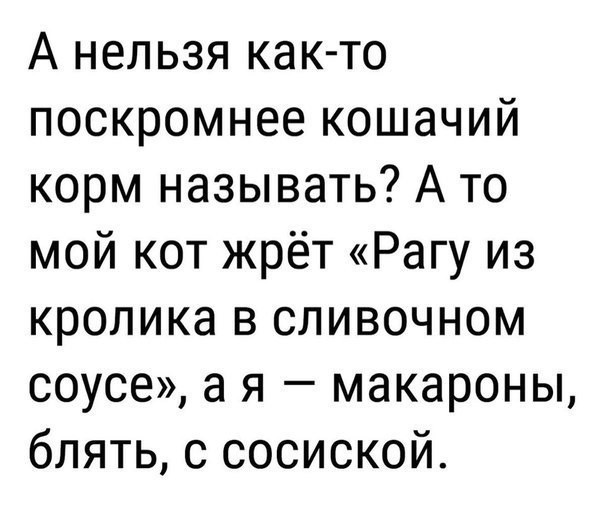 Весёлый полтишок 01.11.23