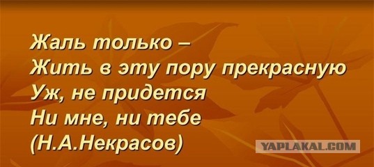 Крамольные мысли