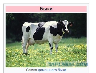 Чем отличаются времена СССР от нынешних