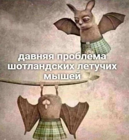 Выходите на первой же остановке