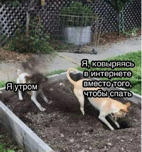 Так себе картинки 28.03.25