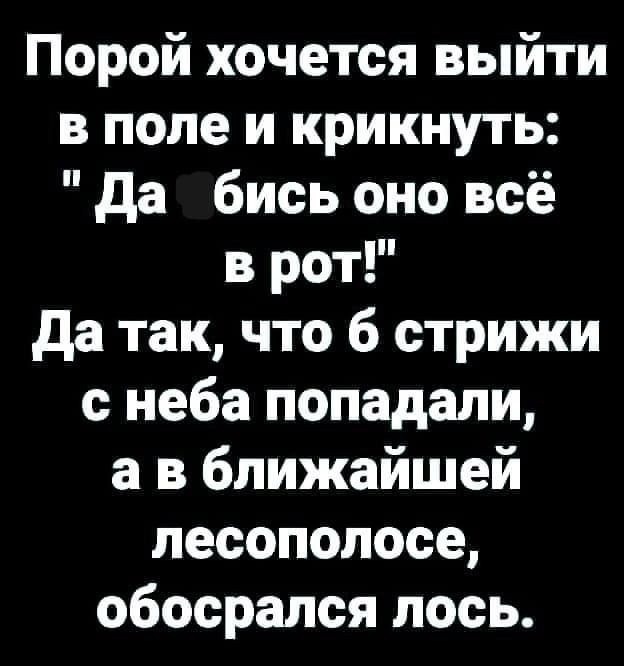 Так себе картинки 20.04.25