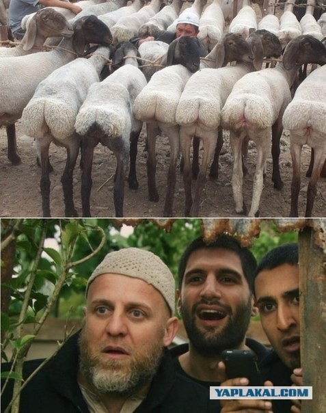 Не ходите дети в африку гулять