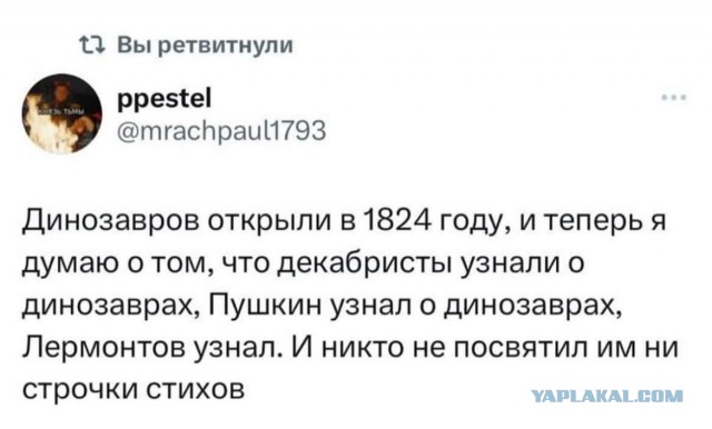 Так себе картинки 22.08.25