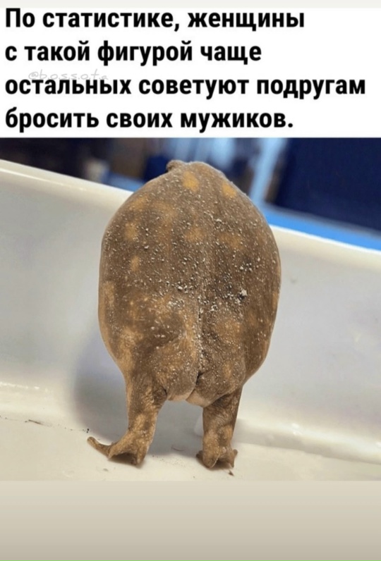 Ты сильная. Унесешь