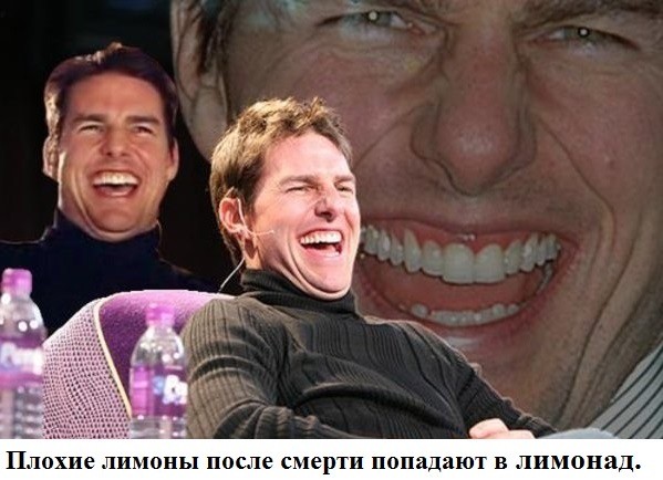 Веселое настроение в картинках (12.12.2025)