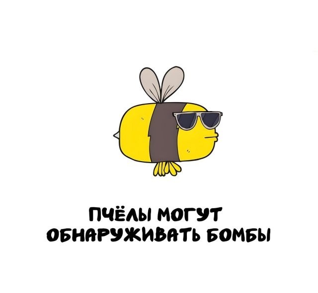Интересные и короткие факты на все случаи жизни 05.01.26