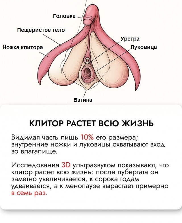 Он найден!
