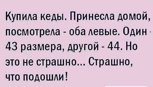 Среды картинки