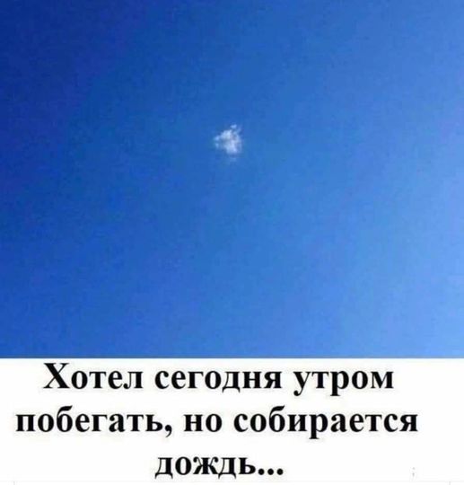 20745748.jpg