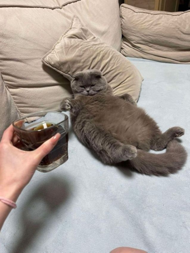 Картиночки на 18.02.2026