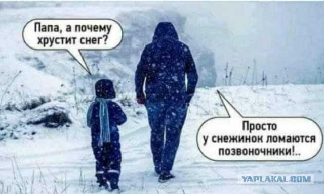 Немного чёрного юмора