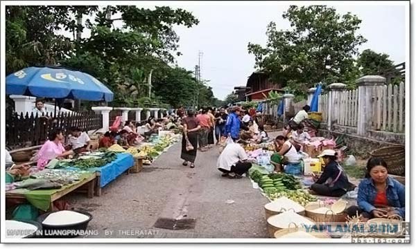 Утренний азиаткий рынок.